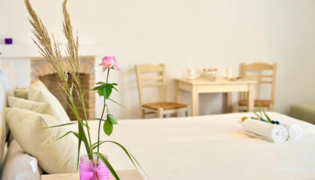 Aparthotel Mykonos Pantheon Playa Playa Kalo Livadi Exterior foto
